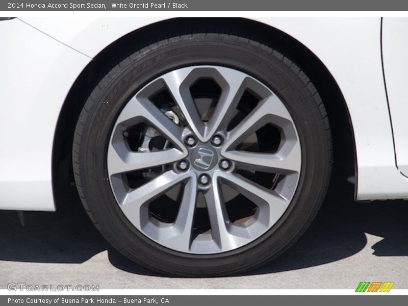 White Orchid Pearl / Black 2014 Honda Accord Sport Sedan