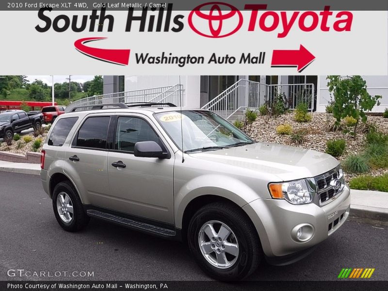 Gold Leaf Metallic / Camel 2010 Ford Escape XLT 4WD