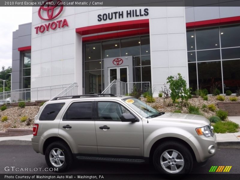 Gold Leaf Metallic / Camel 2010 Ford Escape XLT 4WD