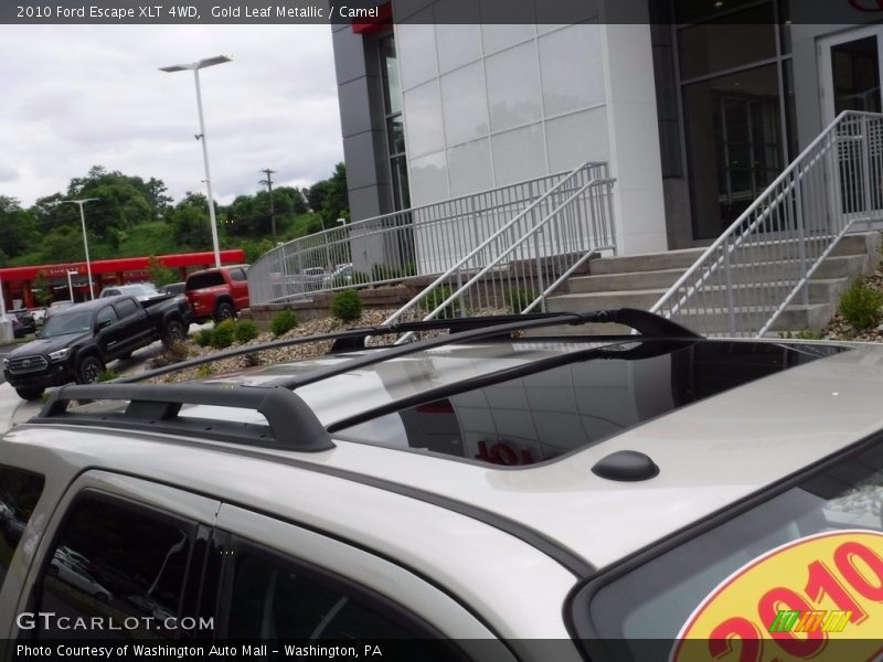 Gold Leaf Metallic / Camel 2010 Ford Escape XLT 4WD