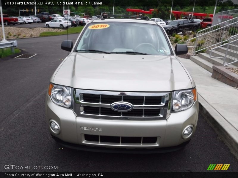 Gold Leaf Metallic / Camel 2010 Ford Escape XLT 4WD