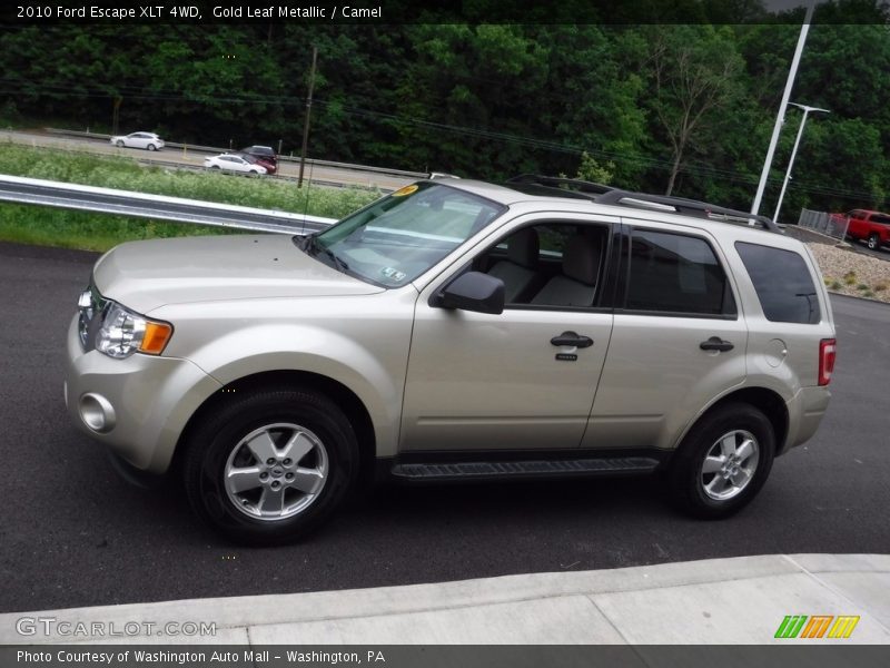 Gold Leaf Metallic / Camel 2010 Ford Escape XLT 4WD