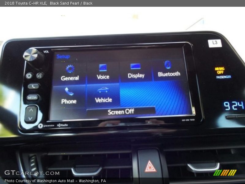 Black Sand Pearl / Black 2018 Toyota C-HR XLE