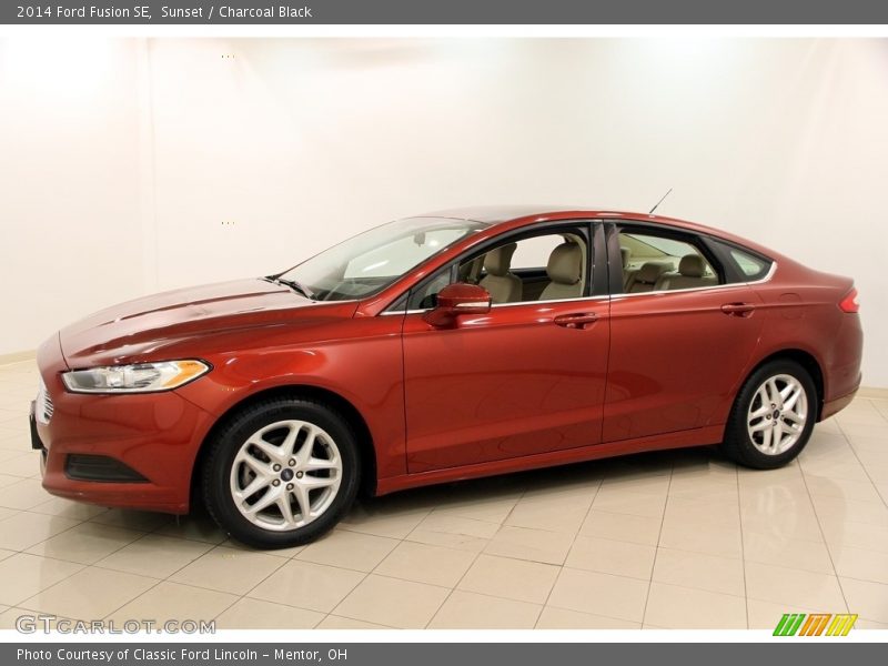 Sunset / Charcoal Black 2014 Ford Fusion SE