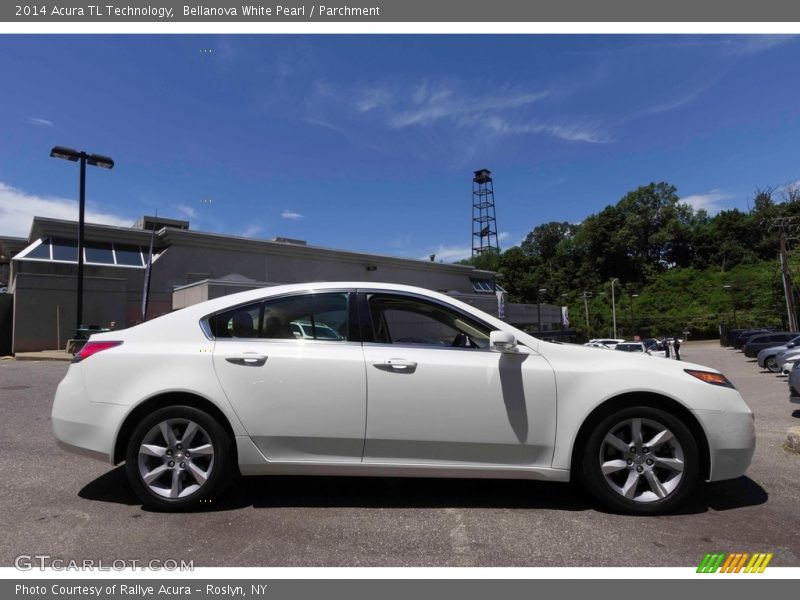 Bellanova White Pearl / Parchment 2014 Acura TL Technology