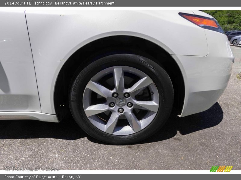 Bellanova White Pearl / Parchment 2014 Acura TL Technology