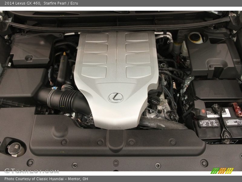 Starfire Pearl / Ecru 2014 Lexus GX 460