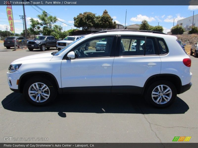 Pure White / Charcoal 2017 Volkswagen Tiguan S