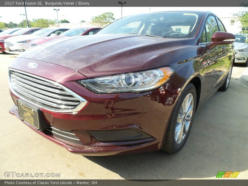 Burgundy Velvet / Ebony 2017 Ford Fusion SE