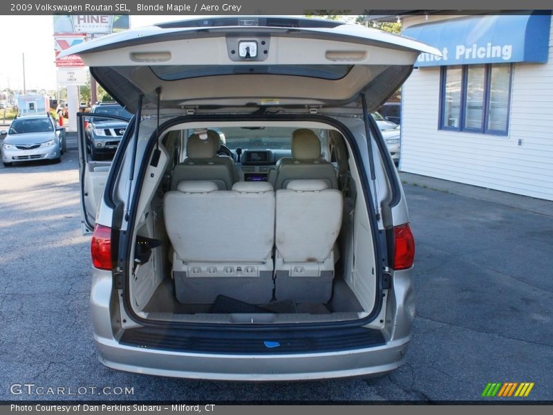 Blonde Maple / Aero Grey 2009 Volkswagen Routan SEL