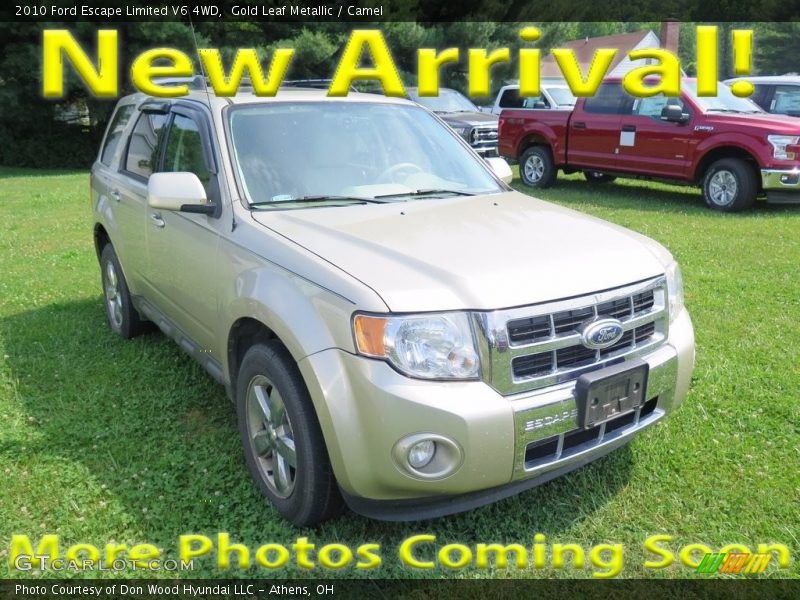 Gold Leaf Metallic / Camel 2010 Ford Escape Limited V6 4WD