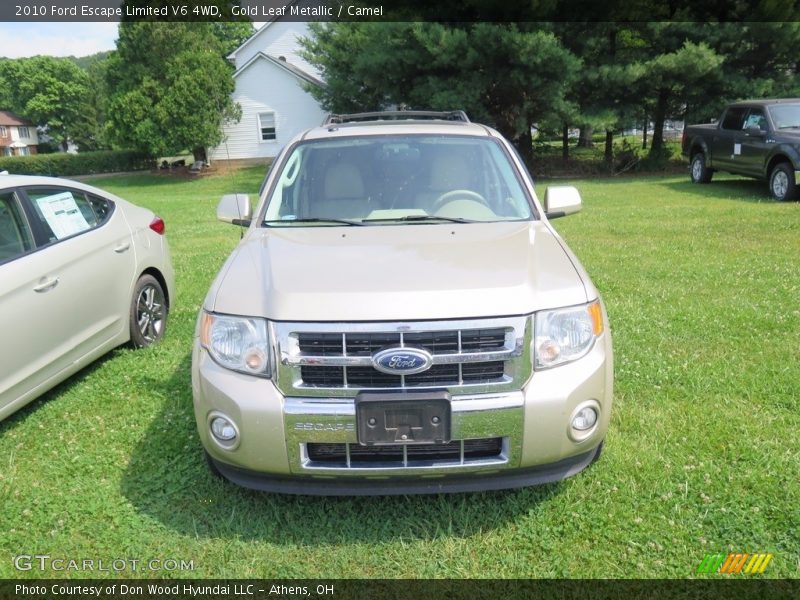 Gold Leaf Metallic / Camel 2010 Ford Escape Limited V6 4WD