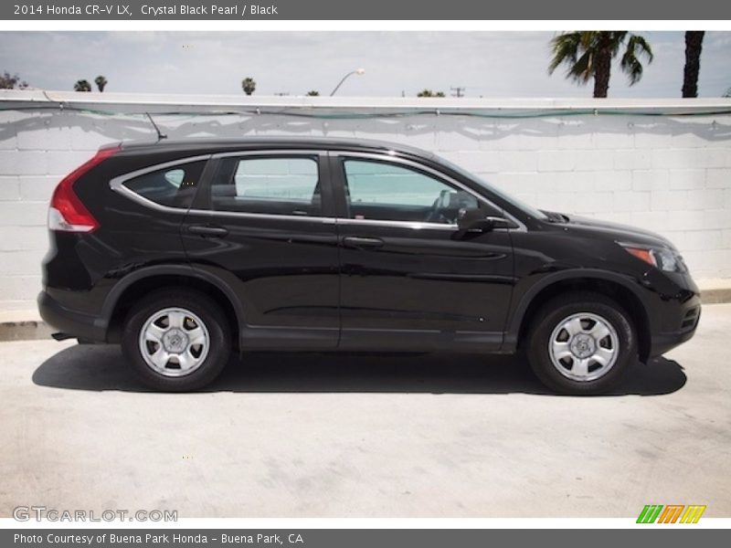 Crystal Black Pearl / Black 2014 Honda CR-V LX