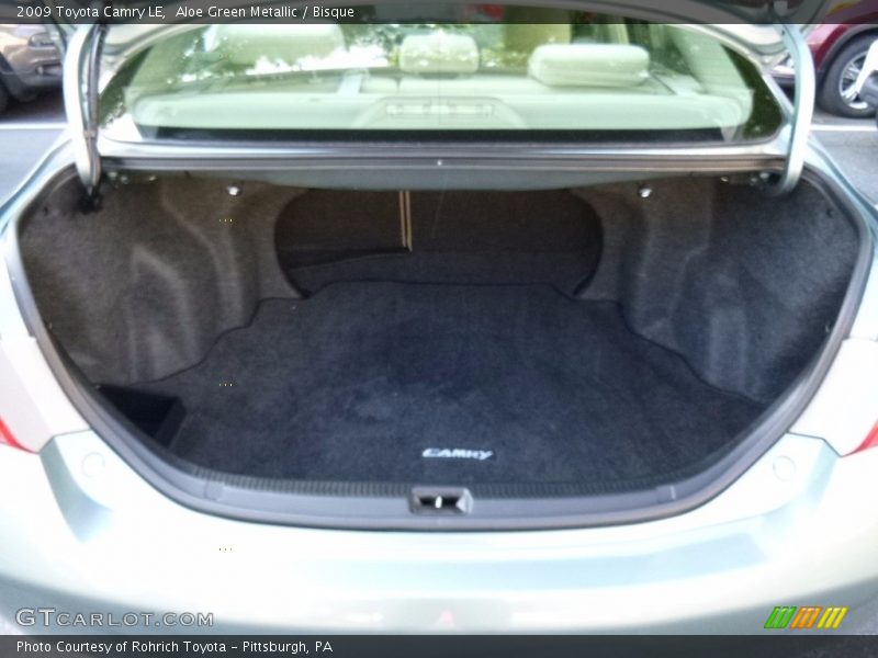 Aloe Green Metallic / Bisque 2009 Toyota Camry LE