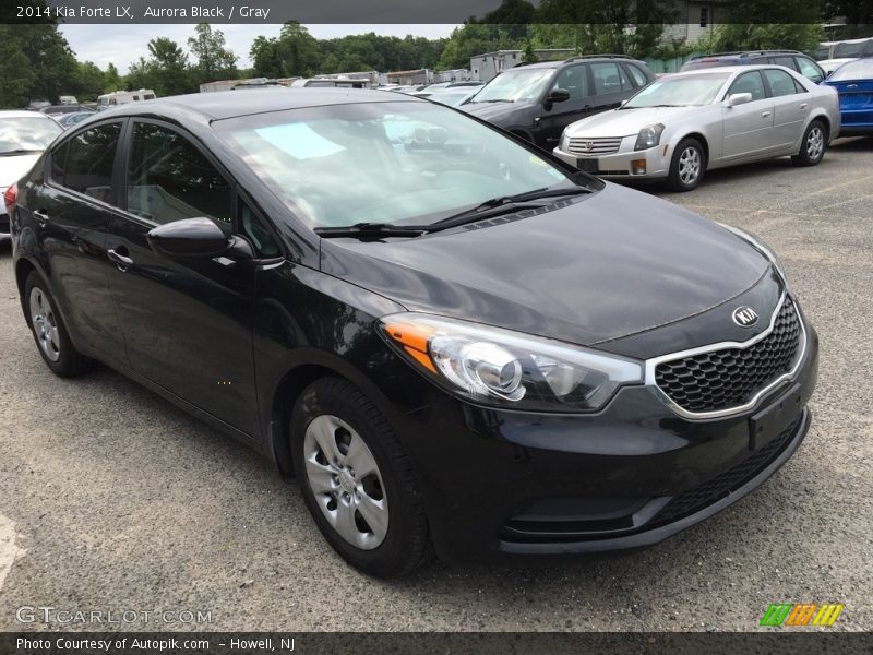 Aurora Black / Gray 2014 Kia Forte LX