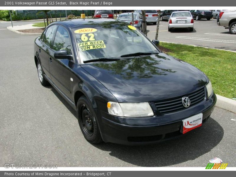 Black Magic Pearl / Beige 2001 Volkswagen Passat GLS Sedan