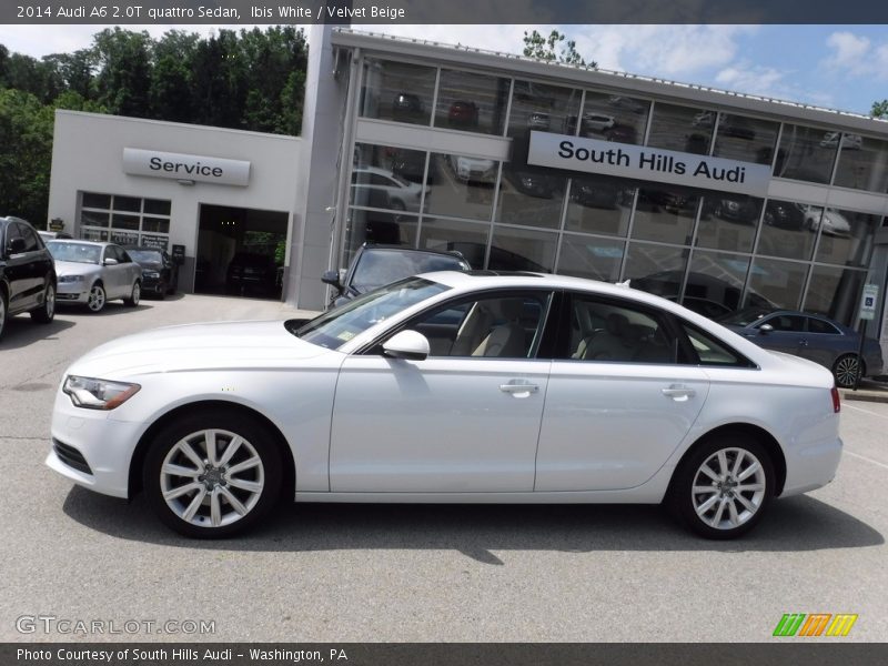 Ibis White / Velvet Beige 2014 Audi A6 2.0T quattro Sedan