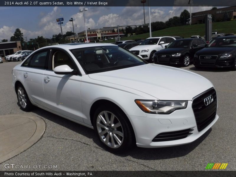Ibis White / Velvet Beige 2014 Audi A6 2.0T quattro Sedan