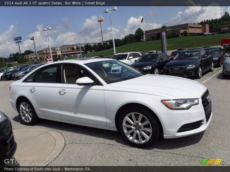 Ibis White / Velvet Beige 2014 Audi A6 2.0T quattro Sedan
