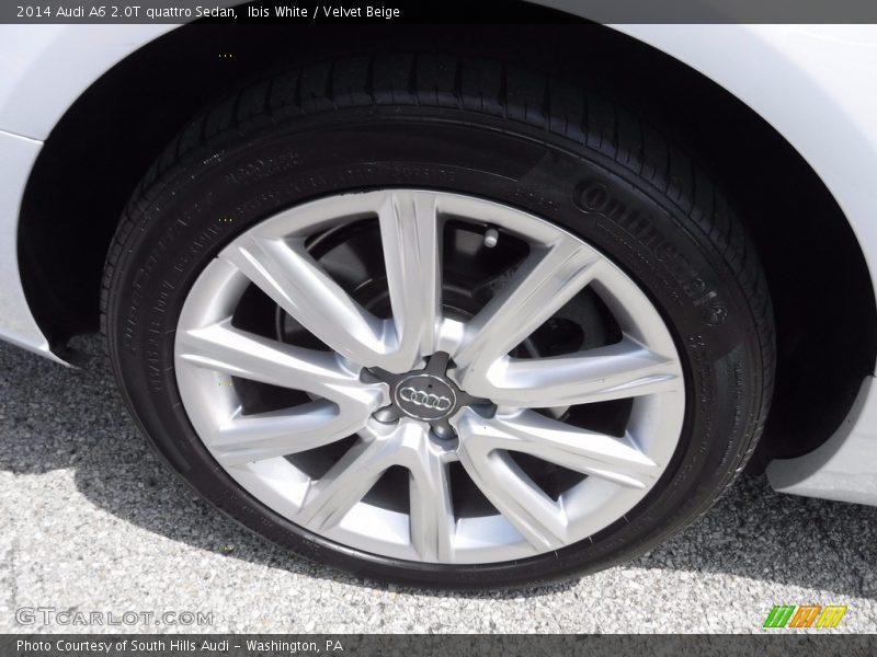 Ibis White / Velvet Beige 2014 Audi A6 2.0T quattro Sedan
