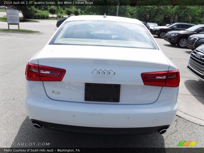 Ibis White / Velvet Beige 2014 Audi A6 2.0T quattro Sedan