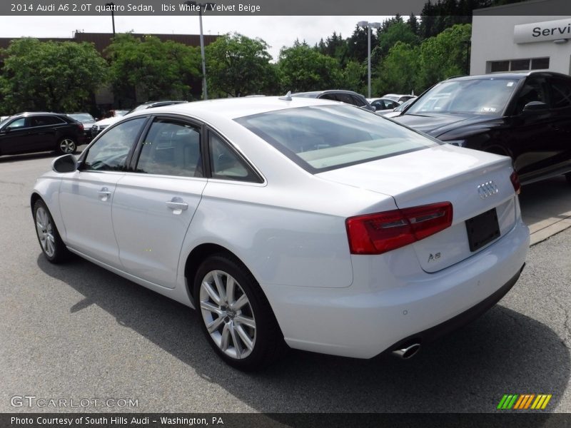 Ibis White / Velvet Beige 2014 Audi A6 2.0T quattro Sedan