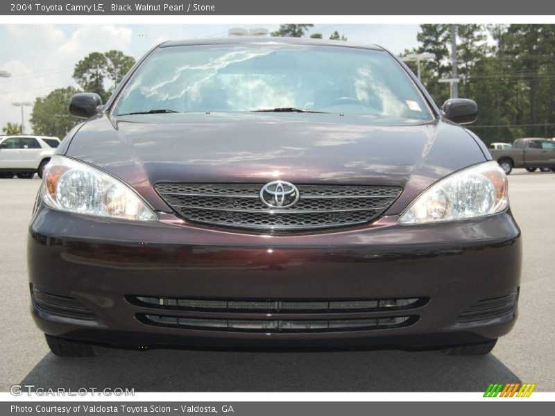 Black Walnut Pearl / Stone 2004 Toyota Camry LE