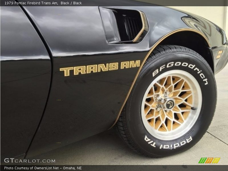  1979 Firebird Trans Am Logo