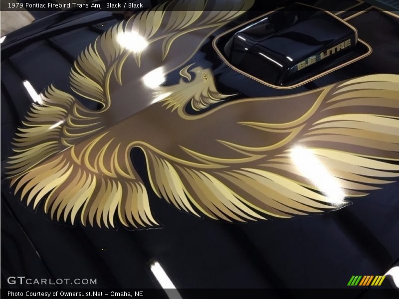  1979 Firebird Trans Am Logo