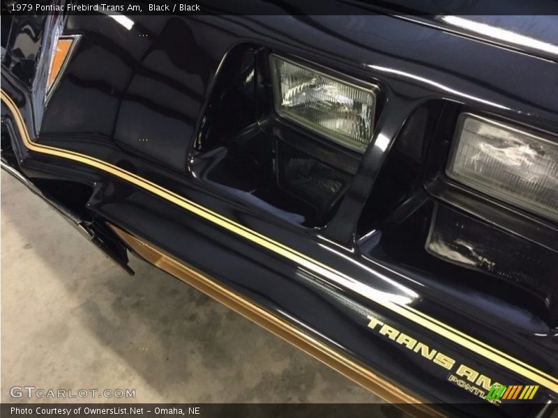 Black / Black 1979 Pontiac Firebird Trans Am