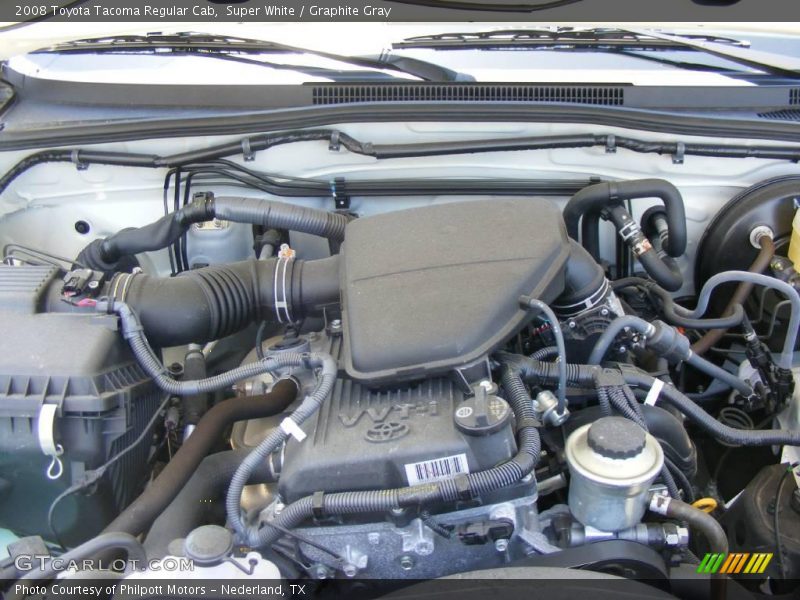 Super White / Graphite Gray 2008 Toyota Tacoma Regular Cab