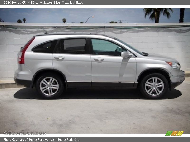 Alabaster Silver Metallic / Black 2010 Honda CR-V EX-L