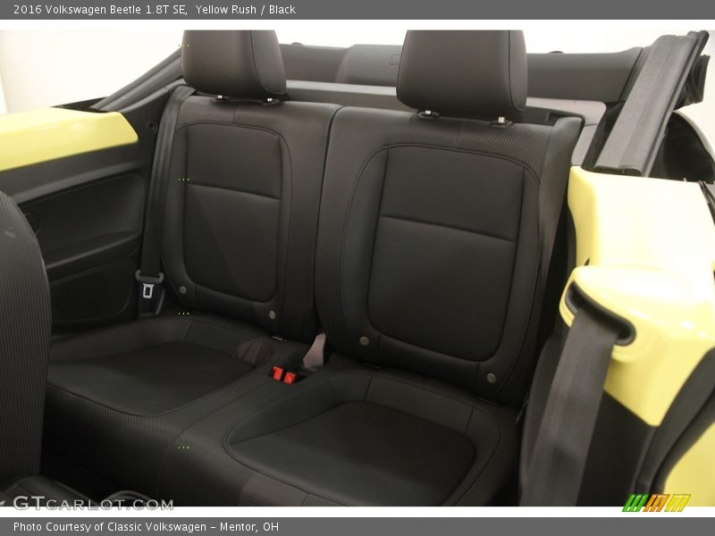 Rear Seat of 2016 Beetle 1.8T SE