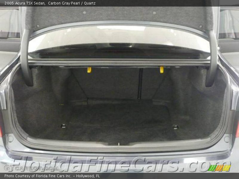 Carbon Gray Pearl / Quartz 2005 Acura TSX Sedan