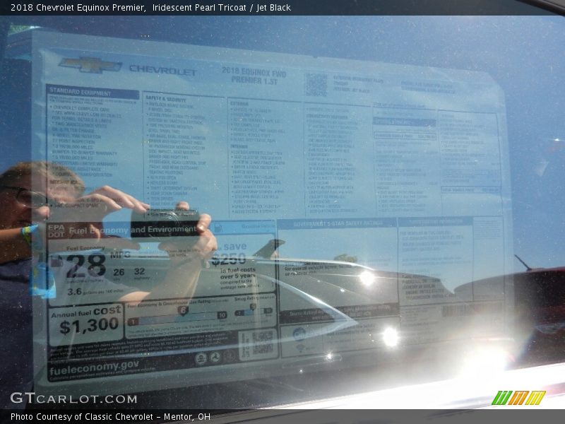 Iridescent Pearl Tricoat / Jet Black 2018 Chevrolet Equinox Premier