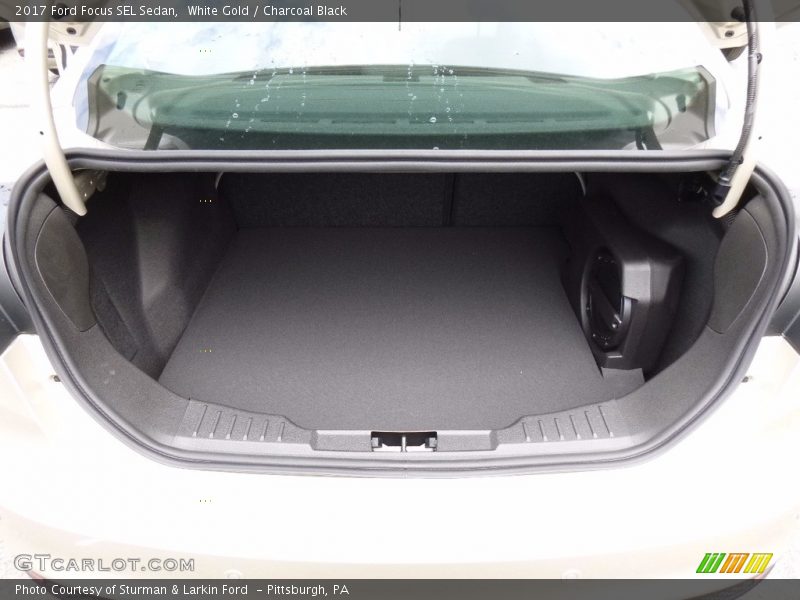 White Gold / Charcoal Black 2017 Ford Focus SEL Sedan