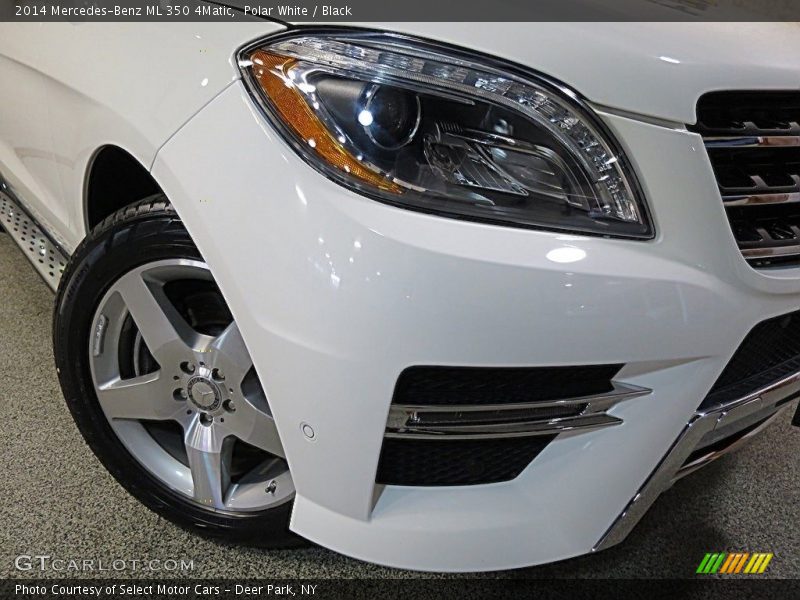 Polar White / Black 2014 Mercedes-Benz ML 350 4Matic