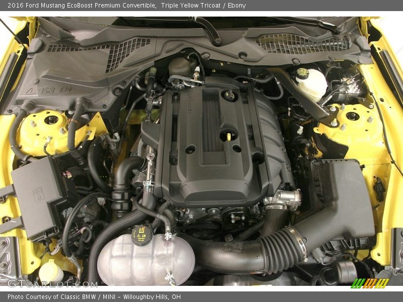 Triple Yellow Tricoat / Ebony 2016 Ford Mustang EcoBoost Premium Convertible