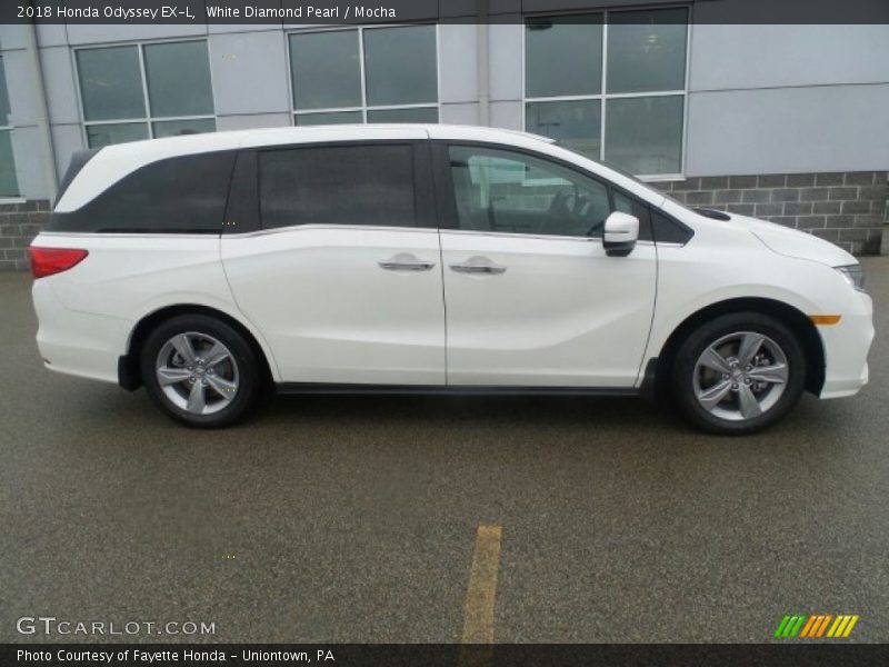 White Diamond Pearl / Mocha 2018 Honda Odyssey EX-L