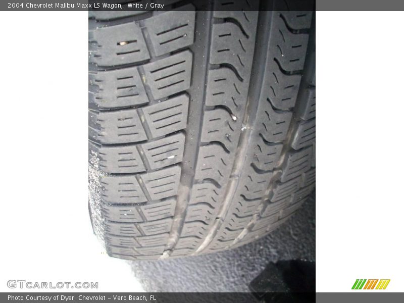 White / Gray 2004 Chevrolet Malibu Maxx LS Wagon