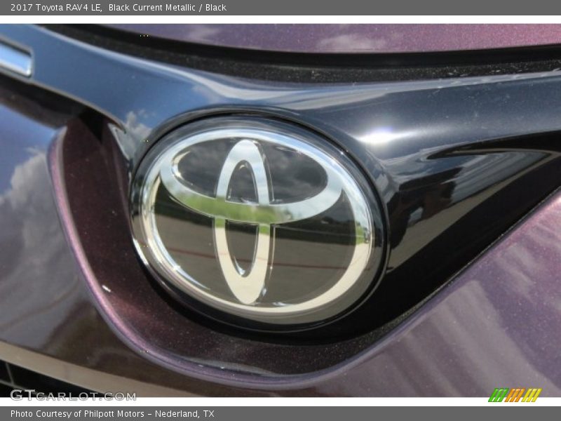 Black Current Metallic / Black 2017 Toyota RAV4 LE