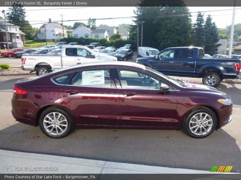 Burgundy Velvet / Ebony 2017 Ford Fusion SE