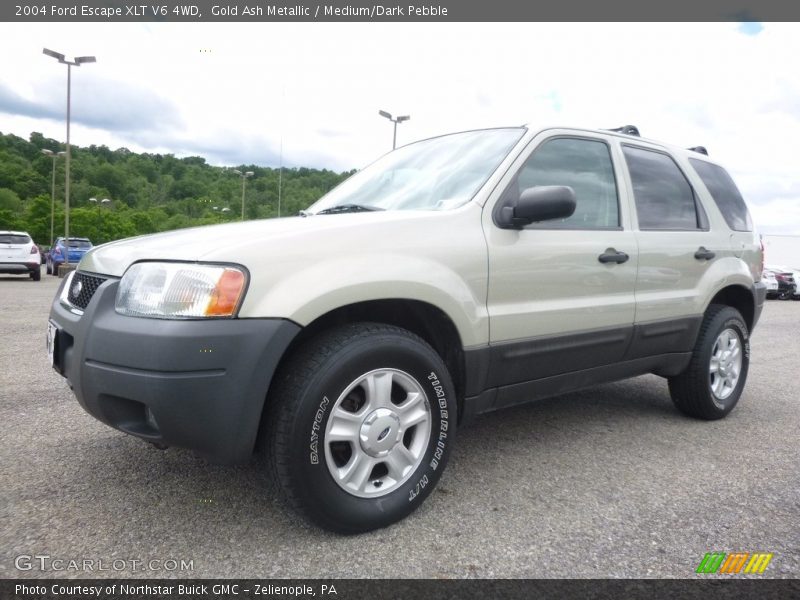 Gold Ash Metallic / Medium/Dark Pebble 2004 Ford Escape XLT V6 4WD