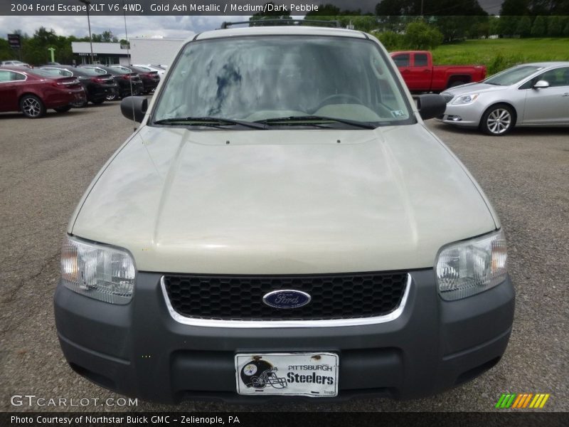 Gold Ash Metallic / Medium/Dark Pebble 2004 Ford Escape XLT V6 4WD
