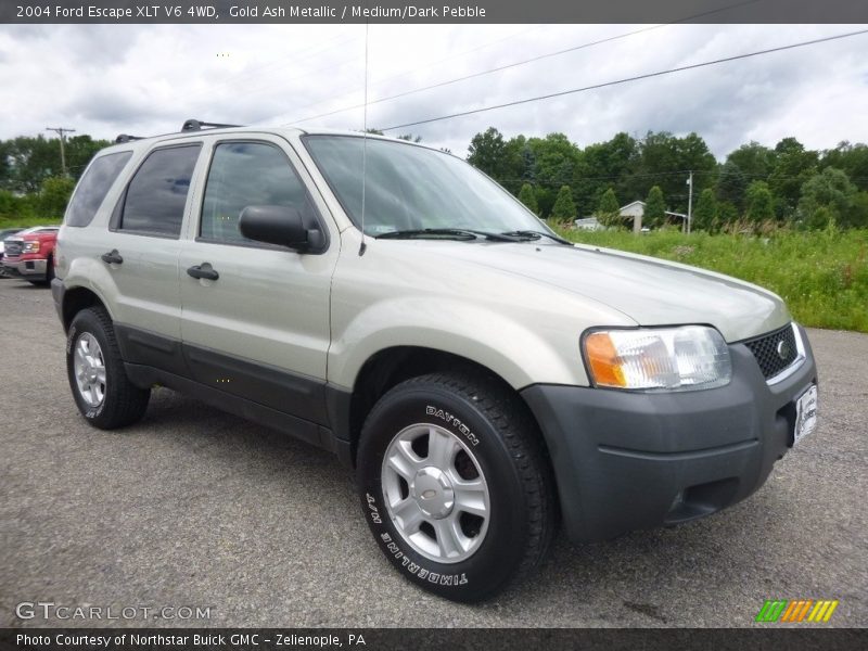 Gold Ash Metallic / Medium/Dark Pebble 2004 Ford Escape XLT V6 4WD