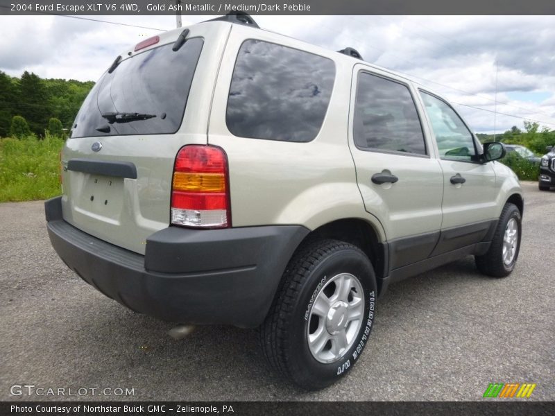 Gold Ash Metallic / Medium/Dark Pebble 2004 Ford Escape XLT V6 4WD