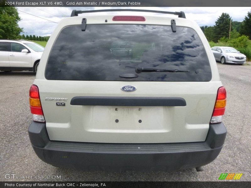 Gold Ash Metallic / Medium/Dark Pebble 2004 Ford Escape XLT V6 4WD
