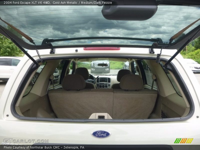 Gold Ash Metallic / Medium/Dark Pebble 2004 Ford Escape XLT V6 4WD