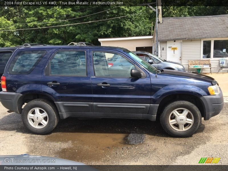True Blue Metallic / Medium/Dark Flint 2004 Ford Escape XLS V6 4WD