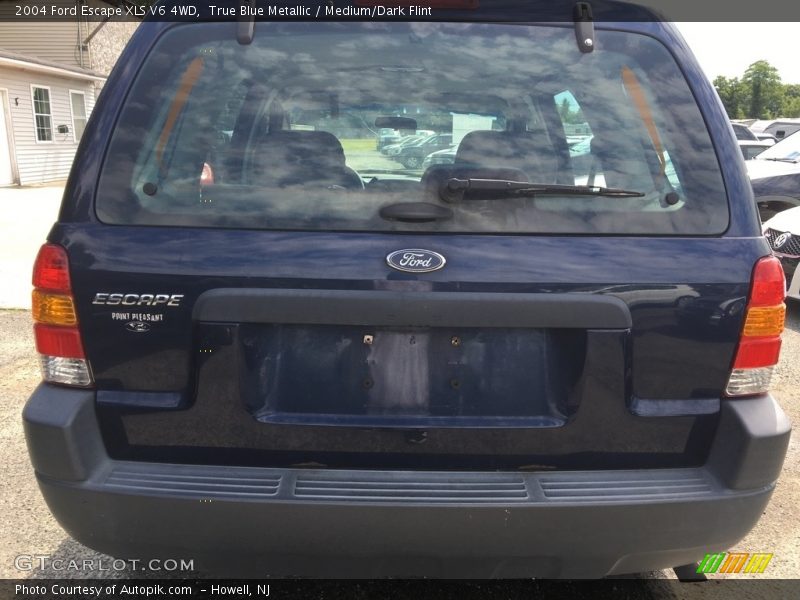 True Blue Metallic / Medium/Dark Flint 2004 Ford Escape XLS V6 4WD